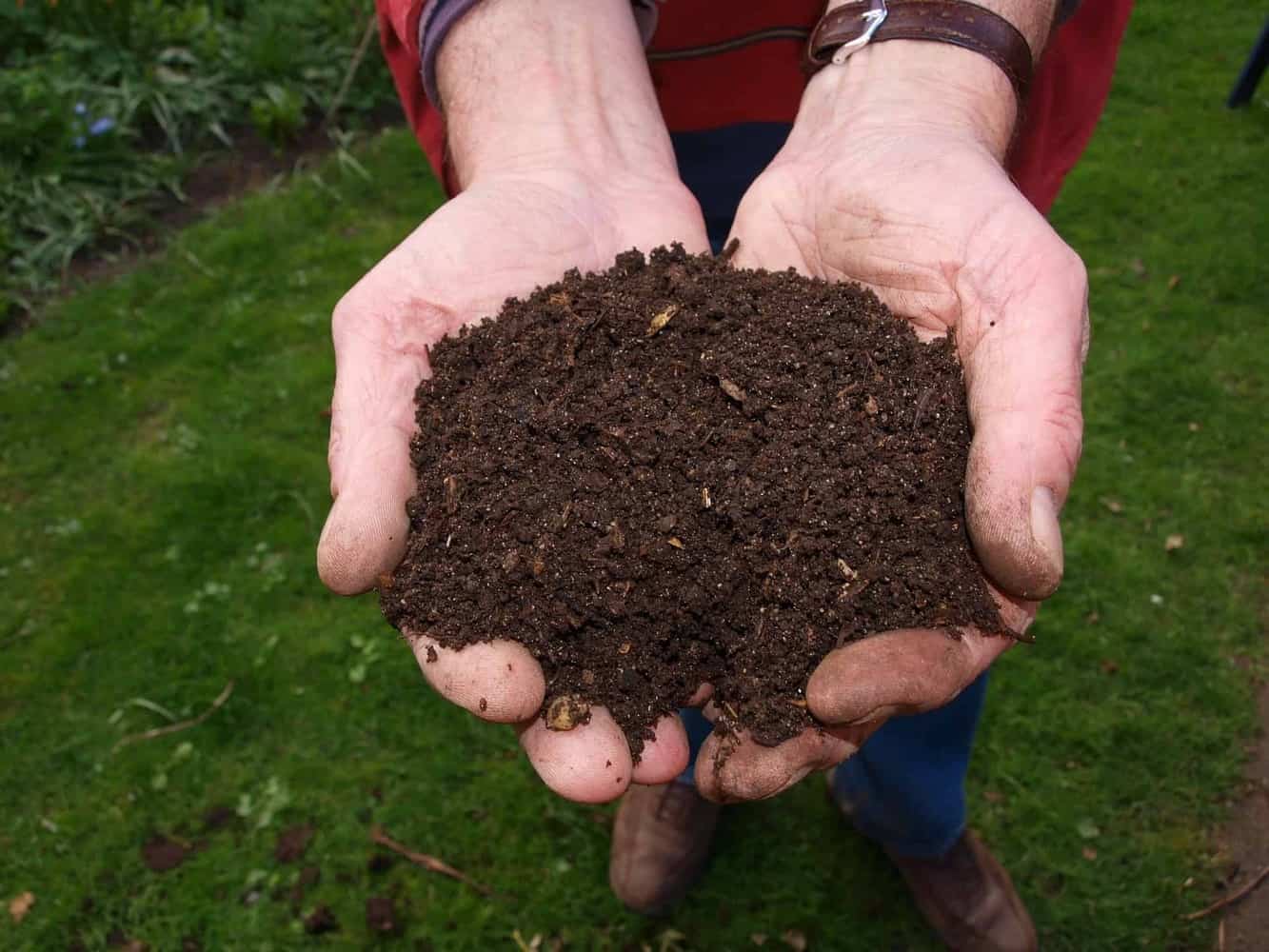 Homemade Fertilizer for Your Garden | Make Natural Fertilizers the Easy Way