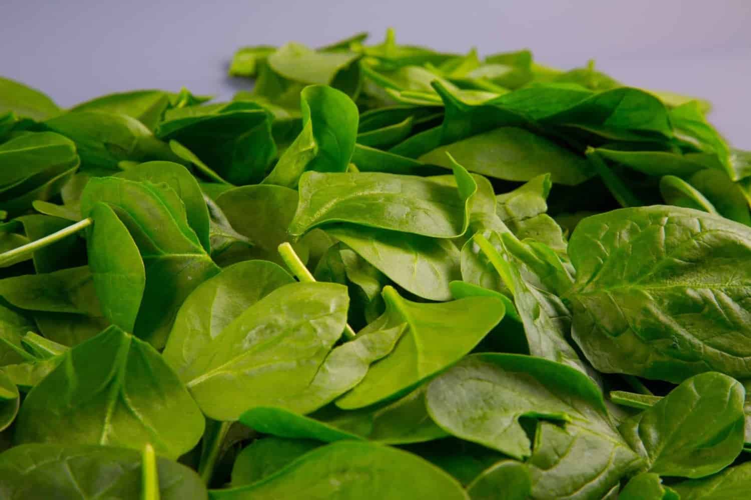 Be like Popeye: Growing Spinach in Containers