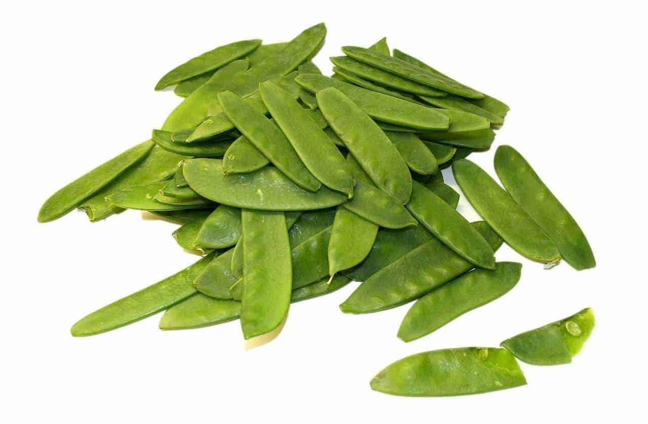 Growing Sweet Peas Indoors | Super Guide to Get you Growing
