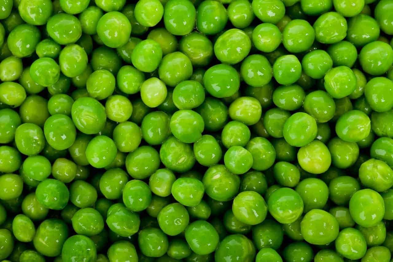 Growing Peas Garden Insider Secret Guide