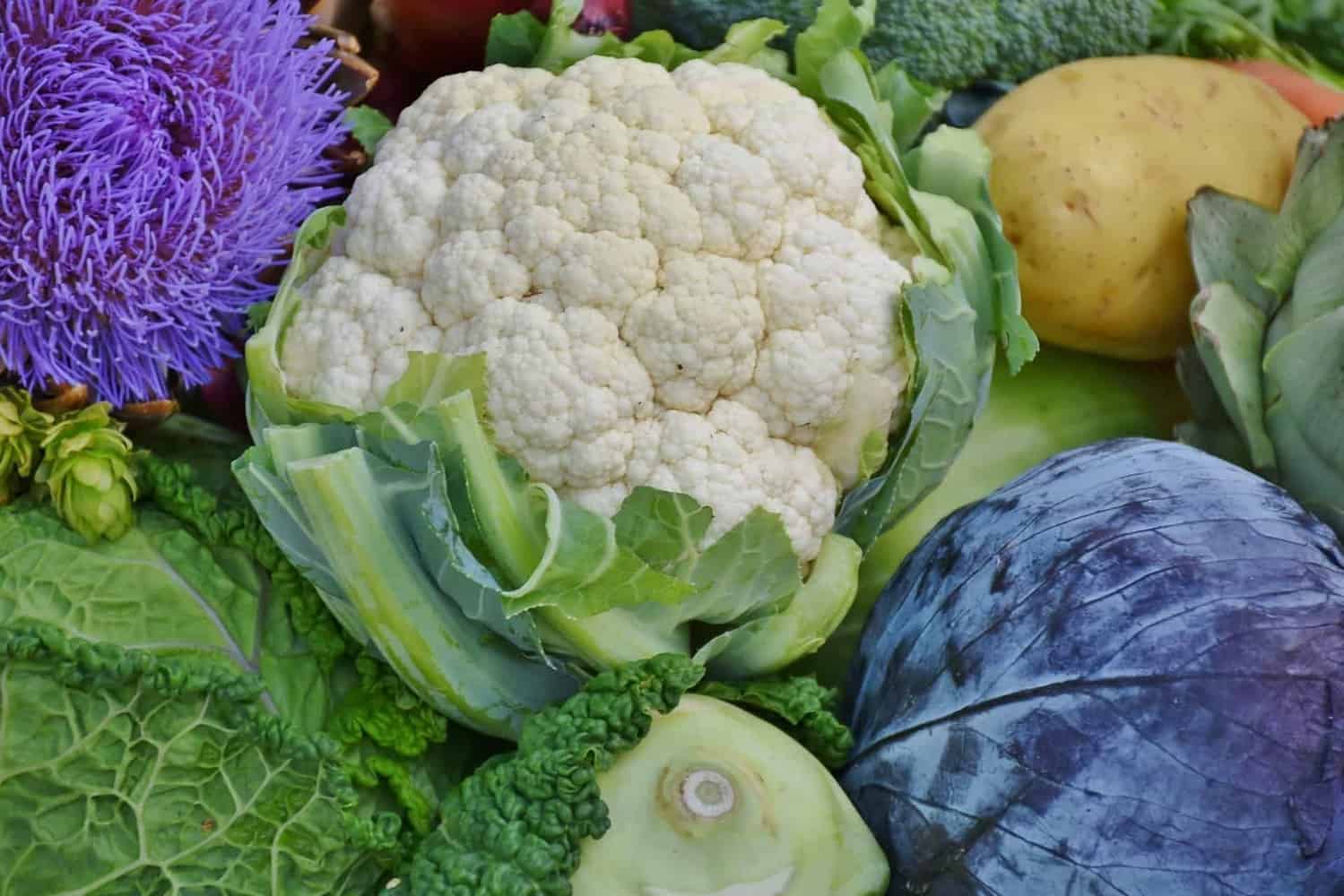 Growing Cauliflower | Faux Mashed Potatoes
