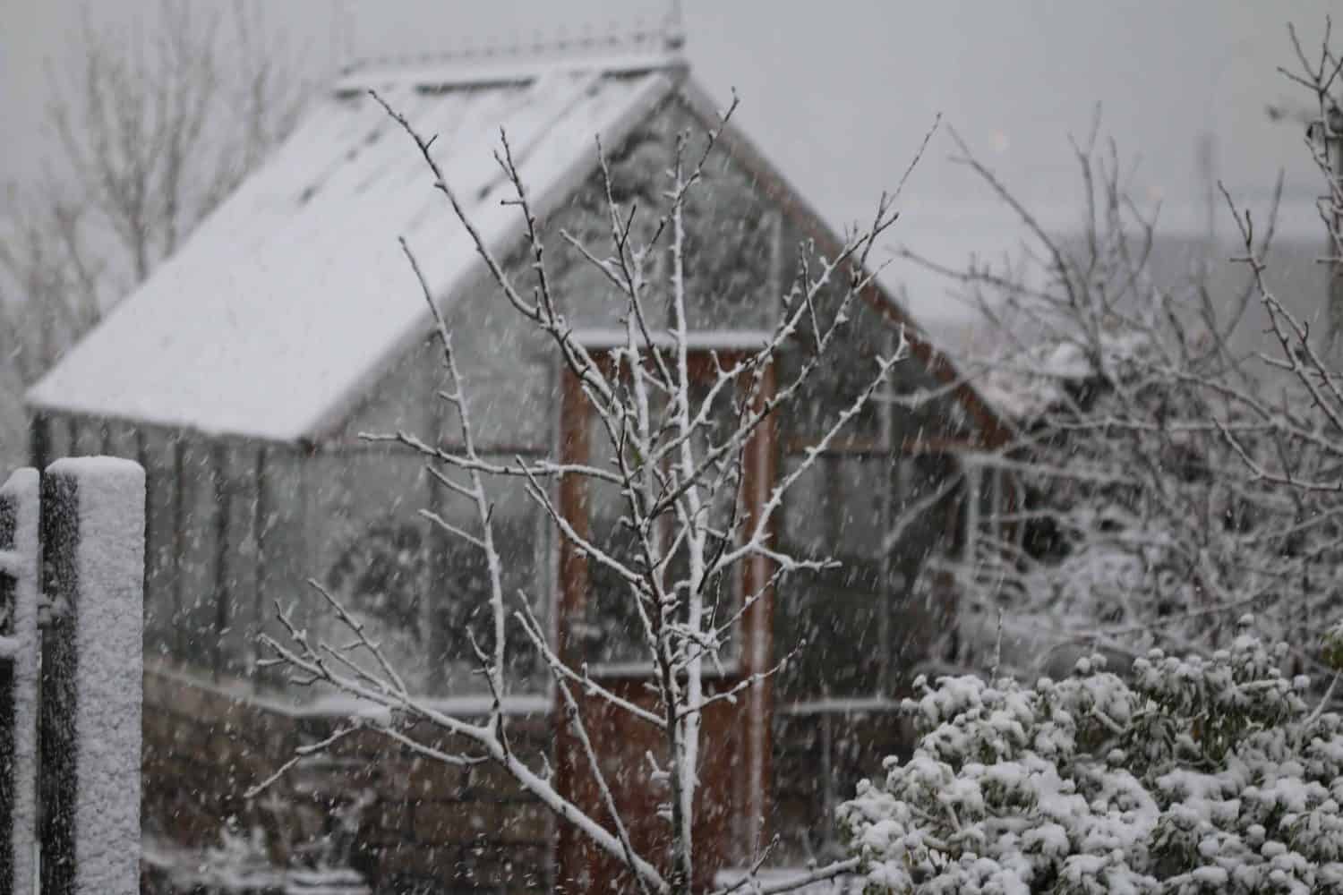 Winter Gardening | 3 Tips to Grow Vegetables during the Winter