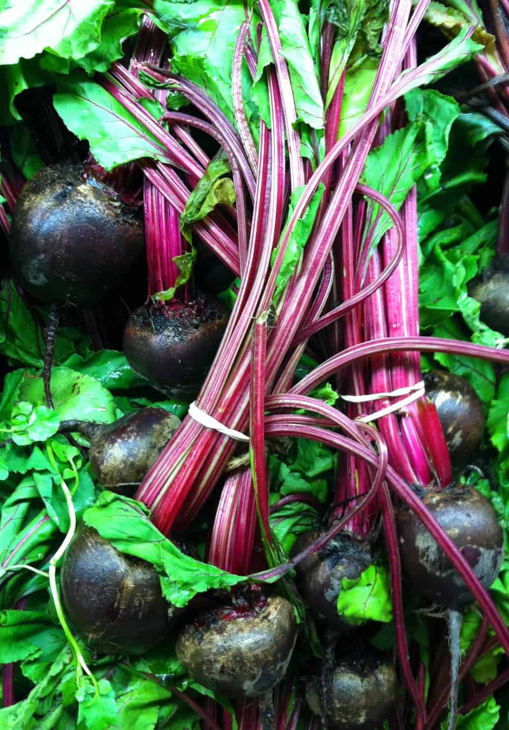 Harvesting Beets | Proven ways to Get your Beets on your Plate