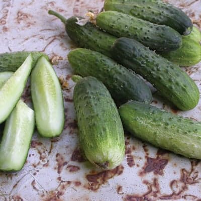 Alibi Cucumbers