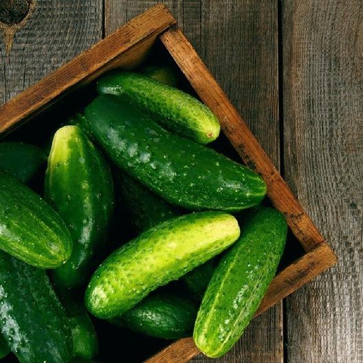 40 Best Cucumber Varieties You Want to Grow