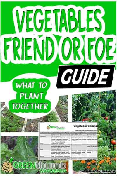 companion planting guide 02