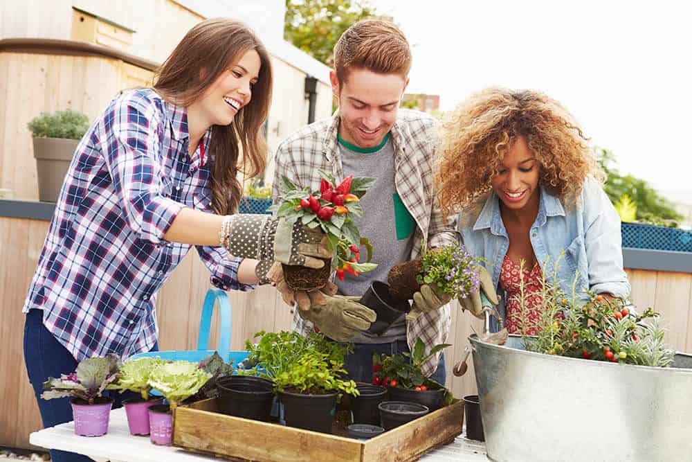 Container Gardening: The Complete Guide to Growing Vegetables in Pots