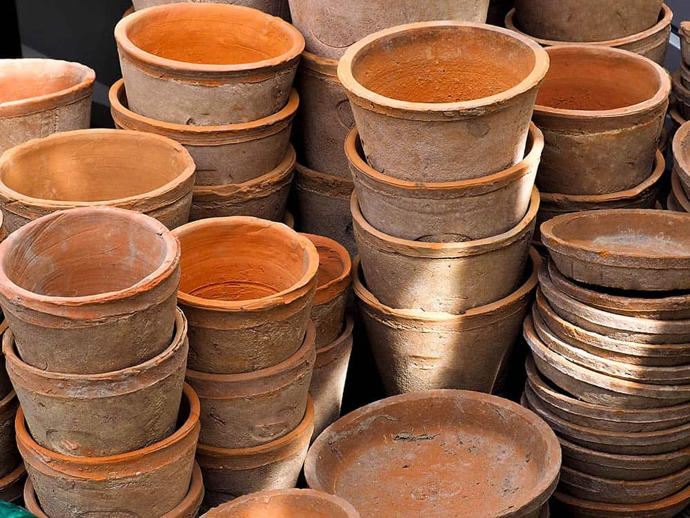 container gardening