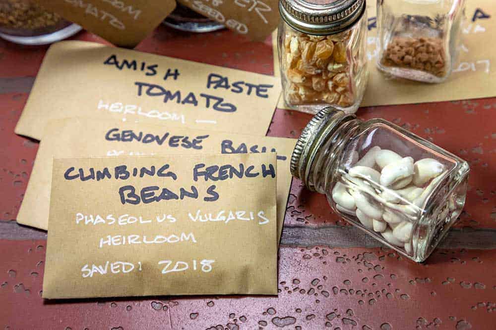 Seed Saving Fundamentals | Establish a Legacy