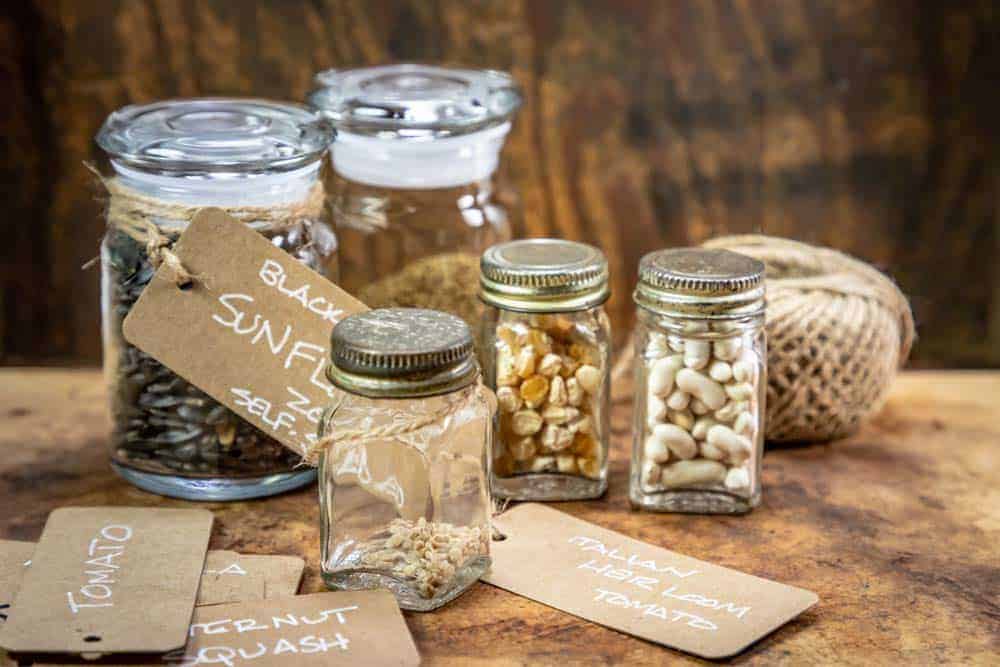 How Long Are Vegetable Seeds Good For | Chart & Storage Guide