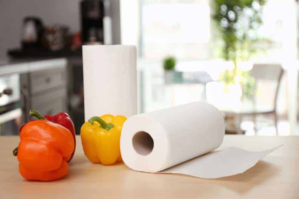 How To Start Seeds In A Paper Towel | Step by Step Guide