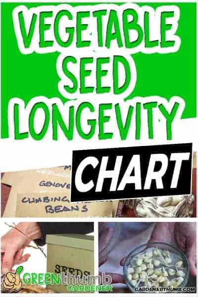 how long do vegetable seeds last
