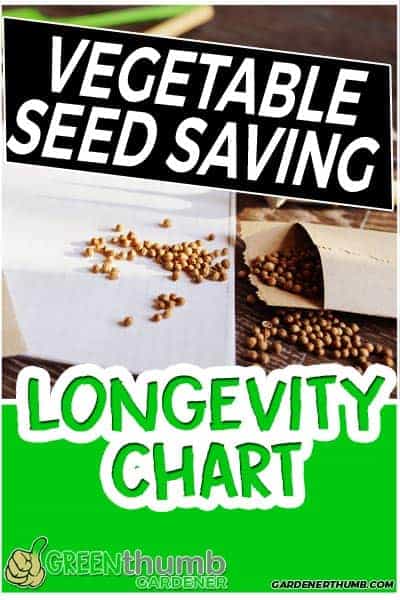 how long do vegetable seeds last