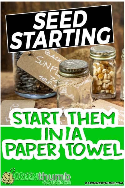 how to start from a paper towel