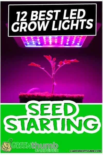 Best Led Grow Lights for Vegetables