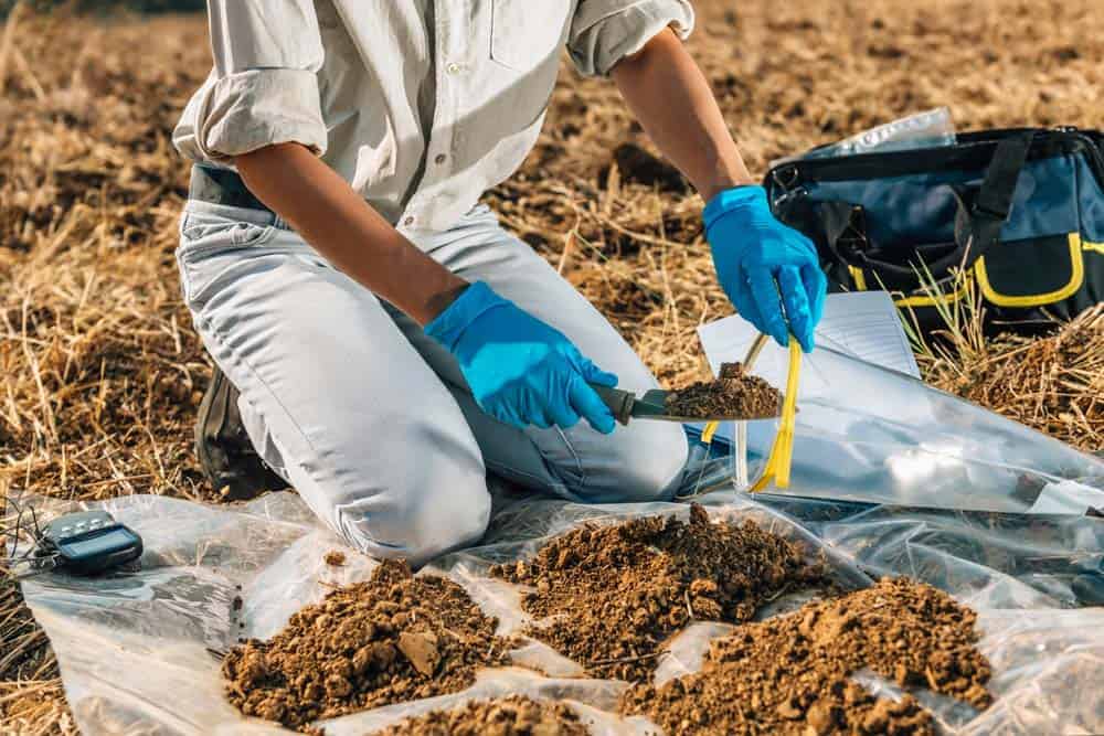 12 Best Soil Test Kit [Beginner Soil Analysis Guide]