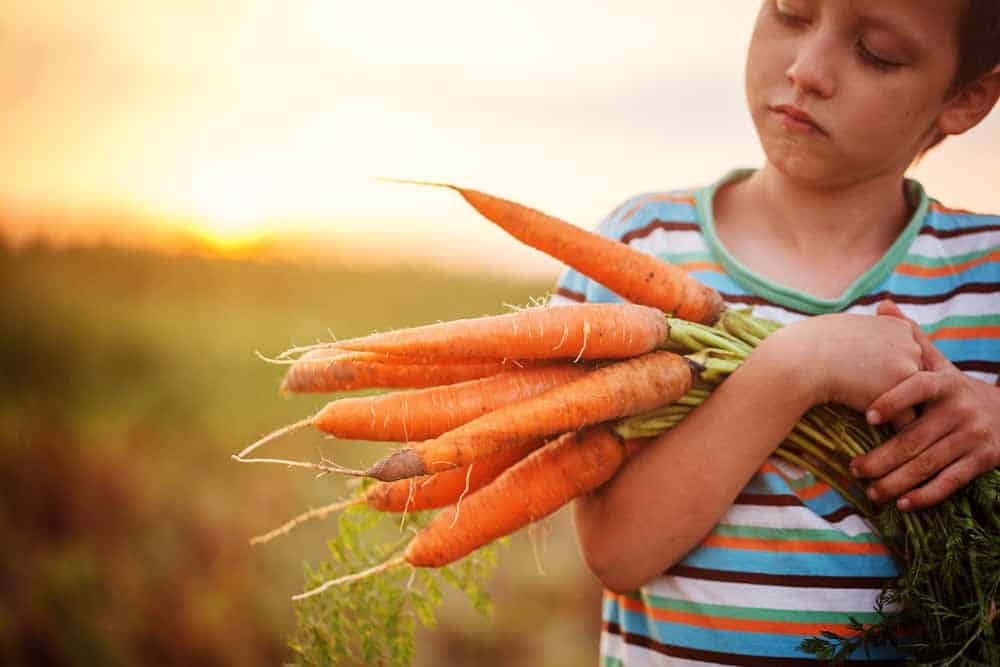 Do Carrots Need Full Sun?