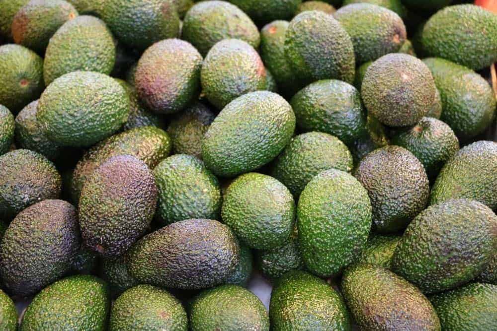 How Long Do Avocados Last | Tips to Avoid Spoilage