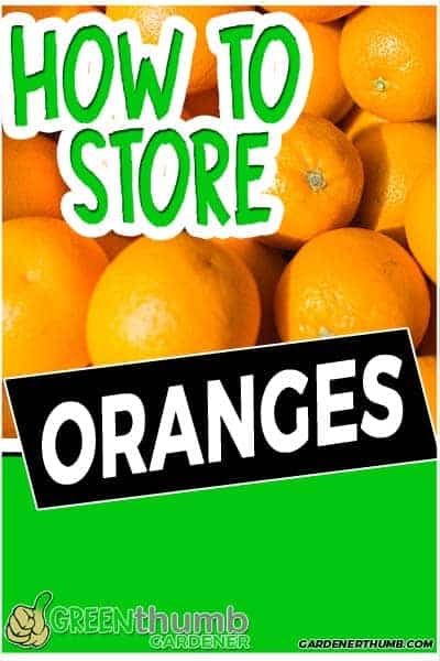 how long do oranges last
