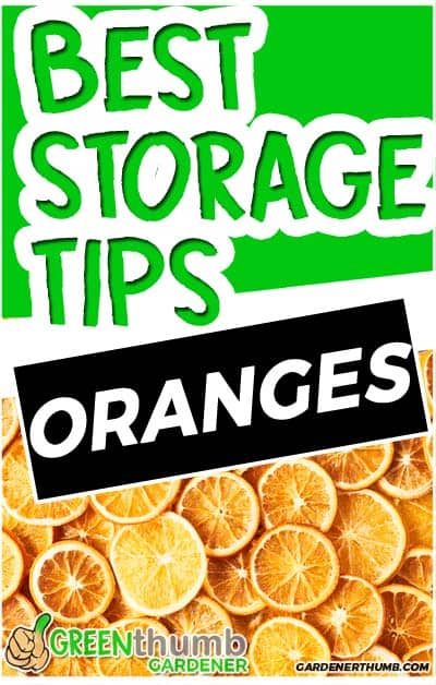 how long do oranges last