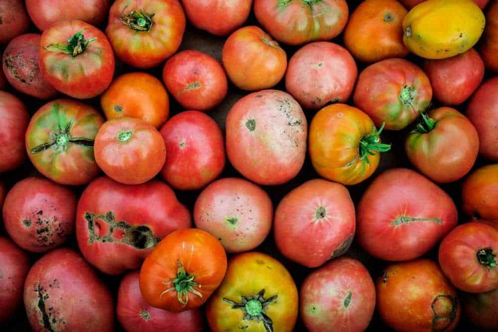 How Long Do Tomatoes Last | Best Storage Tips