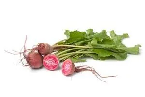 Chioggia beets