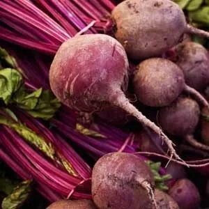 detroit dark red beets