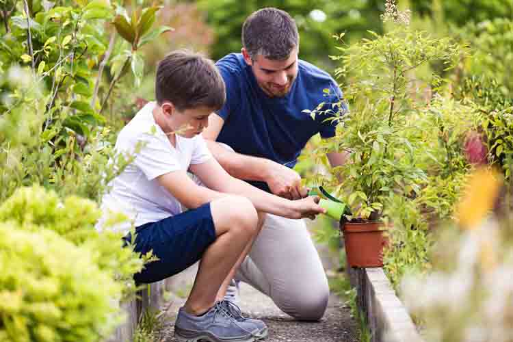 17 Best Gardening Gifts for Dad