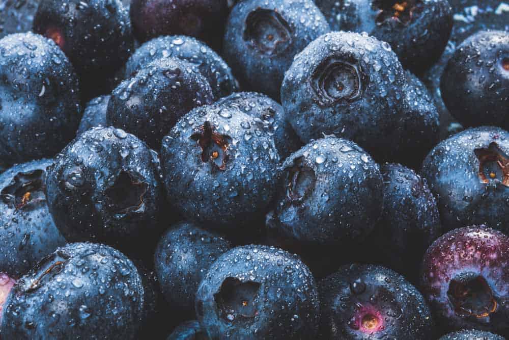 How Long Do Blueberries Last | Best Preserving Tips