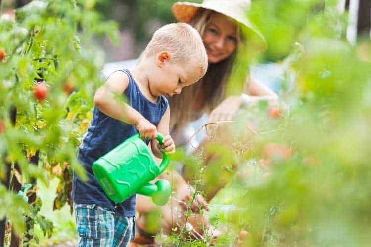 15 Top Gardening Gifts For Mom