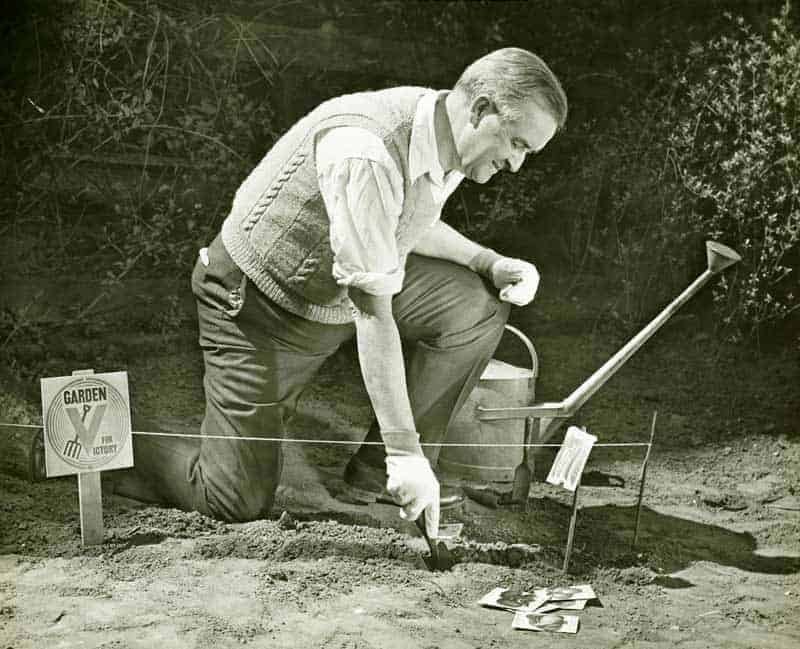 Growing a Victory Garden | The Modern Way