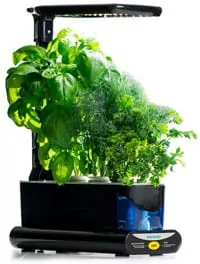 5 | AeroGarden Sprout