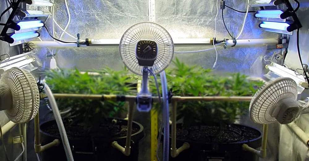 Best Grow Tent Oscillating Fan Buyer’s Guide