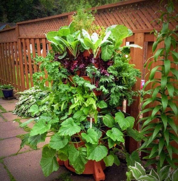 Garden Tower Review 2020 | Complete Growing System