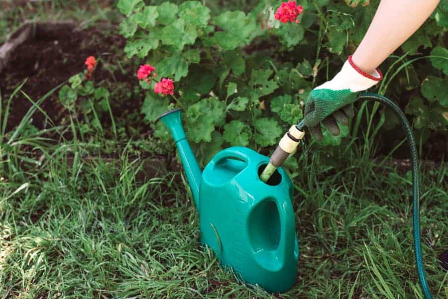 12 Best Garden Hose Filter | Make Your Water Safer
