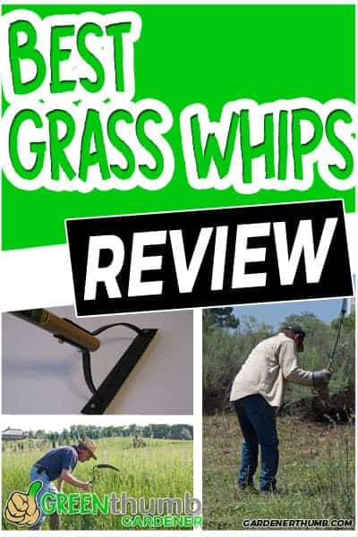 best grass whips