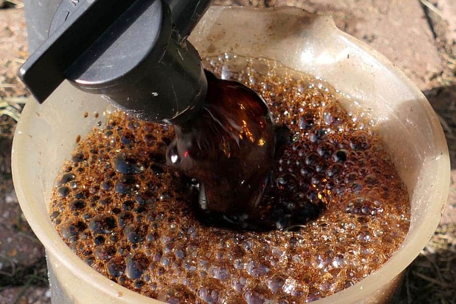 How To Make Worm Tea | Grow Big Plants Now