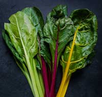 swiss chard