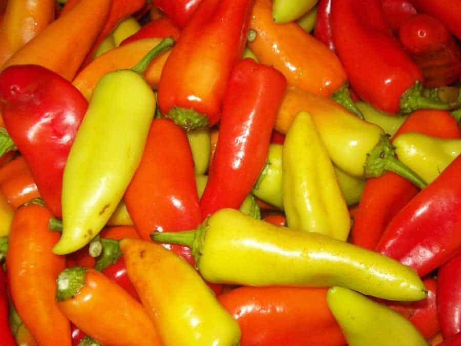 When to Pick Banana Peppers | The Ripe Guide