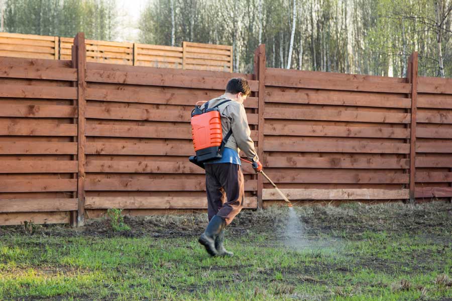 Best Backpack Sprayer