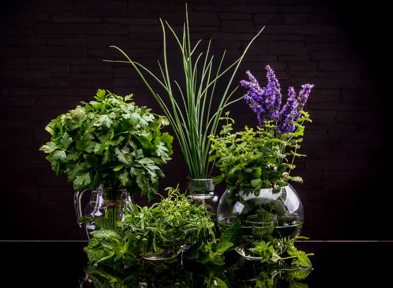 Which Herbs Do Not Go Together? | Garden Guide