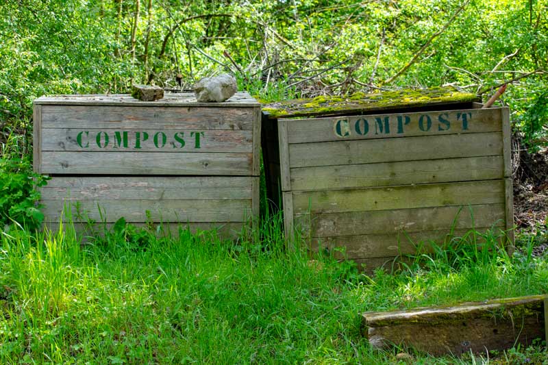 Vermicompost vs Compost