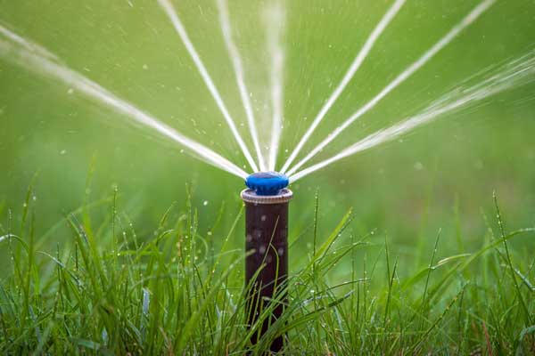 Top 10 Drip Irrigation System [Buyer's Guide]