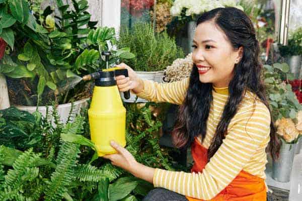 Best Insecticide For Vegetable Garden