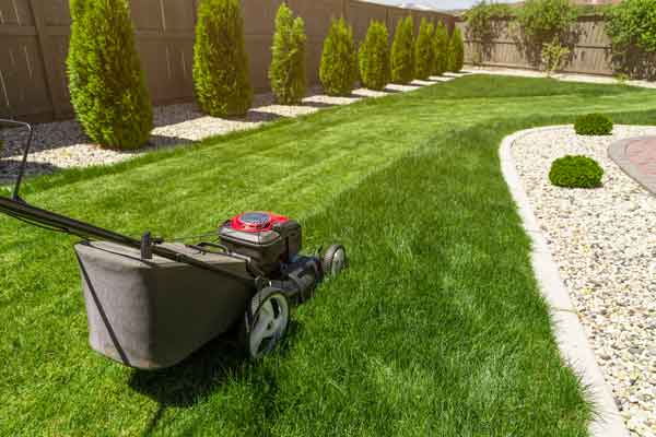 Best Walk Behind Mower For Hills