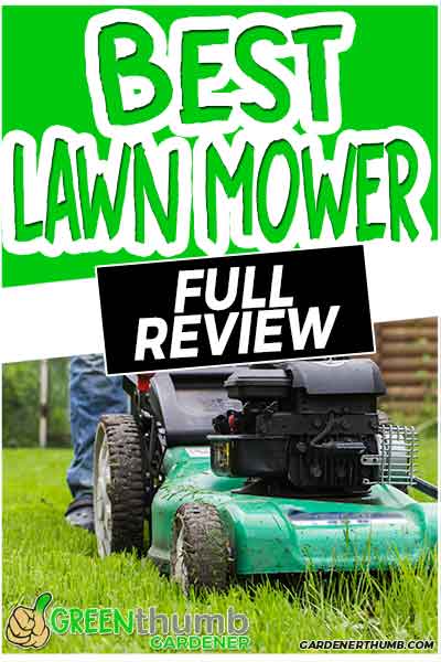 best lawn mower