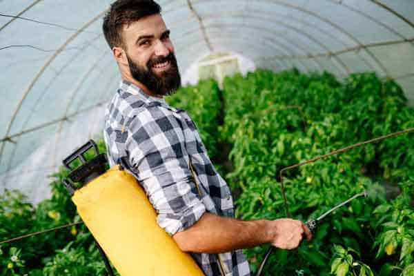 Best Weed Sprayer