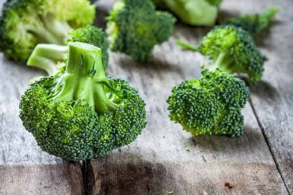 Growing Broccoli Indoors [Level Up Garden Guide]