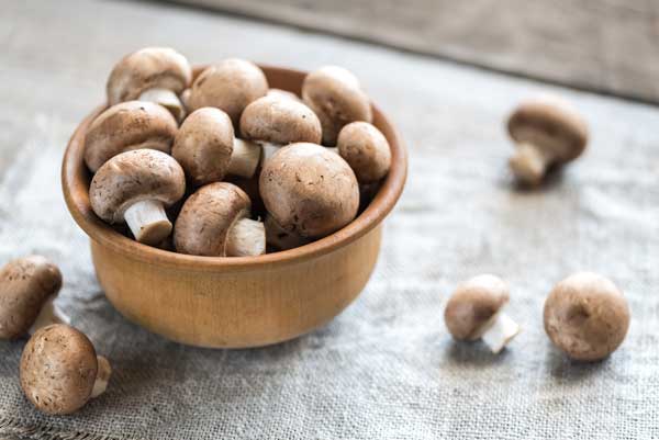 How To Growing Button Mushrooms Without a Kit