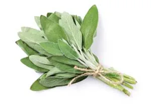 sage
